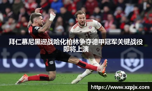 江南体育pp下载